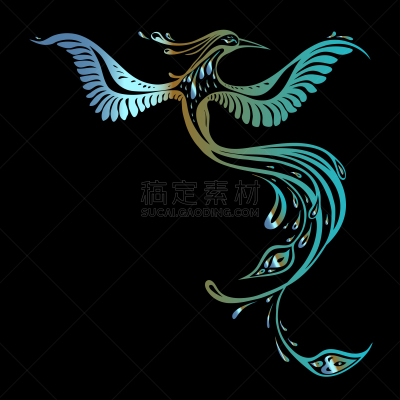 自然美,孔雀,热带鸟,可爱的,华丽的,传统,摆拍,华贵,野生动物