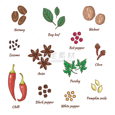 香料,动物手,蔬菜,肉豆蔻,热,菜单,清新,食品,画画,布置