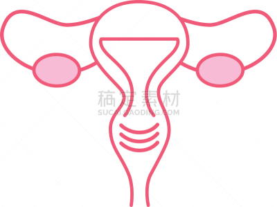 女性生殖系统,计算机图标,健康保健,人,有月经,图像,枝繁叶茂,女人