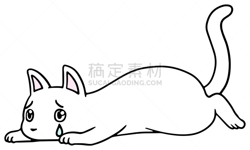 矢量,绘画插图,猫,惊骇,十二生肖,恐怖,简单,动物,宠物商店