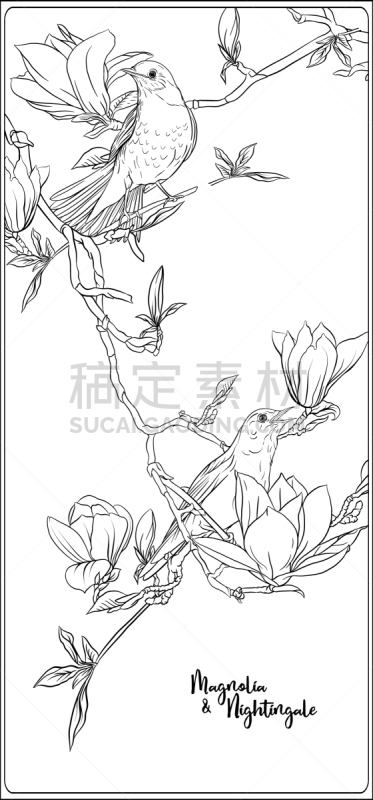 玉兰类,枝,夜莺,清新,春天,鸟类,夏天,花,写实,唱