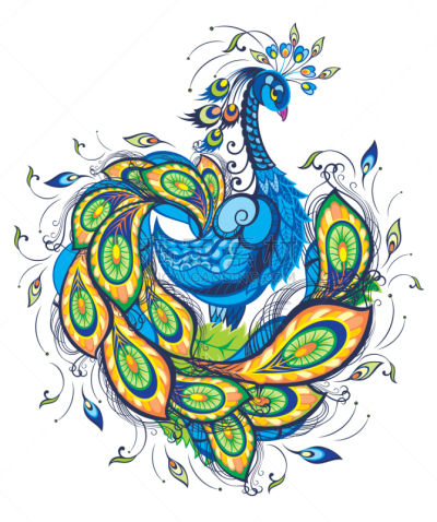 孔雀,白色,华丽的,自然美,高雅,自然,图像,矢量,复古,写实