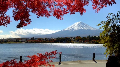日本秋色富士山