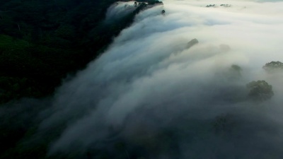 热带雨林中高山上空的鸟瞰薄雾