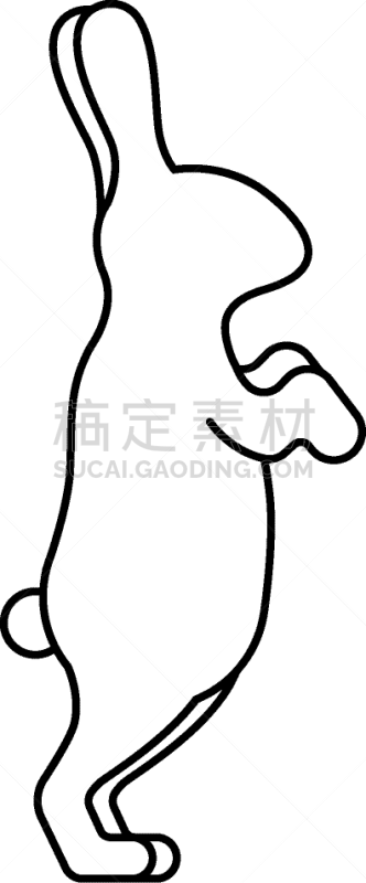 兔子,踮着脚尖,爪子,塞进去,可爱的,野生动物,直的,简单,哺乳纲,动物