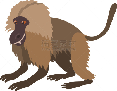 猴子,狮尾狒狒,时尚,卡通,分离着色,可爱的,自然,动物园,热带雨林,野生动物