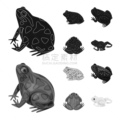 野生动物,藓沼,符号,生物学,有毒物质,动物,牛蛙,两栖纲,人类腺体,爬行纲