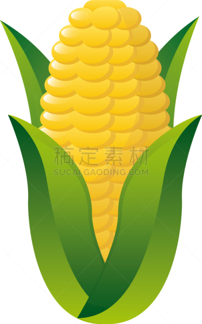 商品,有机食品,白色背景,在上面,农业,蔬菜,清新,食品,维生素,午餐
