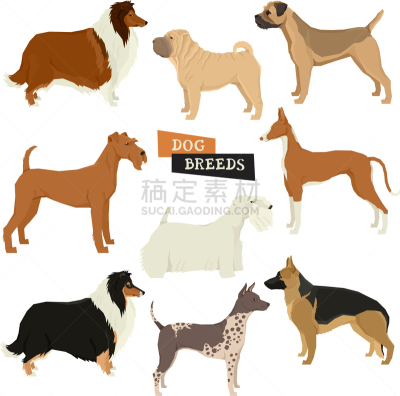 数字9,狗,分离着色,组物体,农业,几何形状,肖像,德国牧羊犬,美国无毛猎狐犬,布置