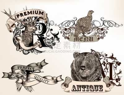 野外动物,动物手,动物,餐馆,鸟类,品牌名称,证章,绘制,布置,复古