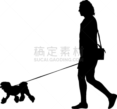 狗,人,纯种犬,梗犬,女人,动物,斯班尼犬,剪影,坐,训练