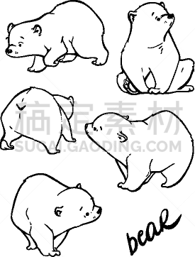 可爱的,多样,熊,动物手,大群动物,绘画插图,华丽的,纺织品,野生动物,站
