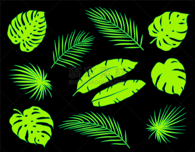 鸡尾酒,明亮,棕榈叶,绿色,复叶,请柬,干酪藤,加利福尼亚,Calathea,布置