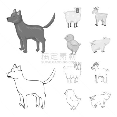 标志,厨房,可爱的,农业,纯种犬,复活节,食品,狗,猪