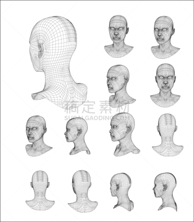 接线框,三维图形,模型,人的头部,人造的,商务,人,生物识别,铁丝网,生物科技