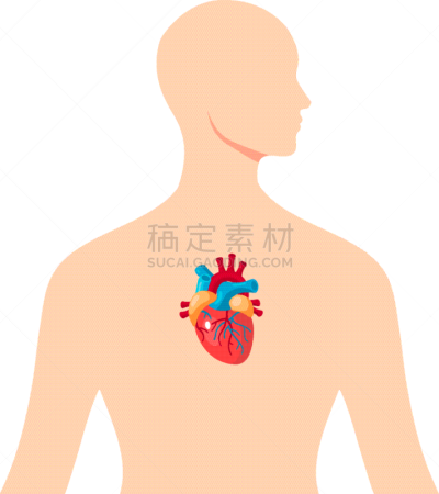 男性,里面,人类心脏,白色,生物学,分离着色,健康保健,人,生病