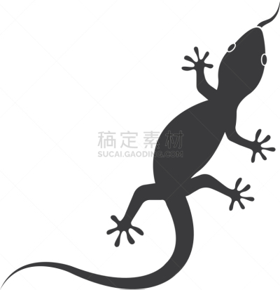 蜥蜴,品牌名称,脚印,野生动物,自然美,动物,尾巴,弯曲,剪影