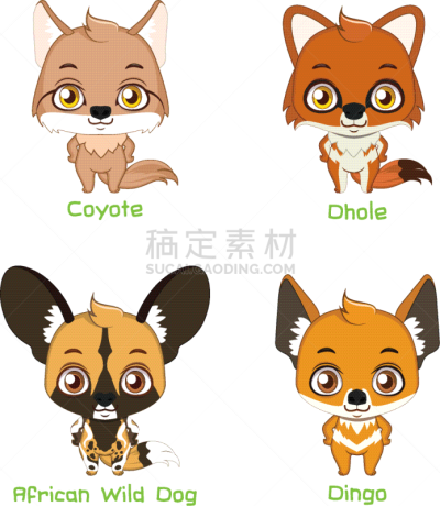 野生植物,动物,犬科的,非洲野狗,户外,可爱的,性格,自然美,艺术,布置