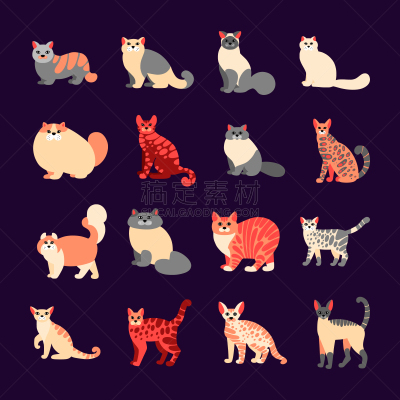 可爱的,宠物,扁平化设计,动物园,图像,猫,组物体,暹罗猫,小的,家畜