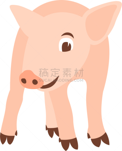 猪,正面视角,可爱的,农业,哺乳纲,自然美,小的,动物,农场,艺术品