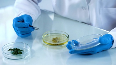 科学家在化学液体，有机皂，美容工业中加入绿色药草