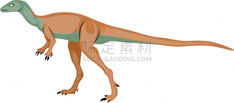 小的,白色背景,体温调节,已灭绝生物,侏罗纪,雷龙,蜥蜴,动物,惧龙,力克斯兔