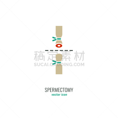 避孕品,男人,分离着色,白色,健康保健,人,睾丸,人类的生殖器官,矢量