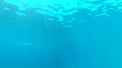潜入游泳池的人的水下景观