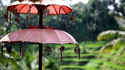 稻田，Padi Terrace，Ubud，印度尼西亚巴厘岛