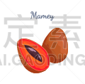 横截面,热带气候,熟的,曼密苹果,水果,完整,矢量,农业,清新,背景分离