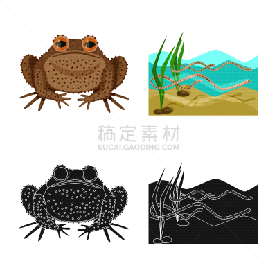 野生动物,标志,藓沼,生物学,有毒物质,青蛙,池塘,草,设计,布置