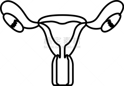 举起手,女性生殖系统,卵子,卵巢,子宫颈,女人,剪影,画画