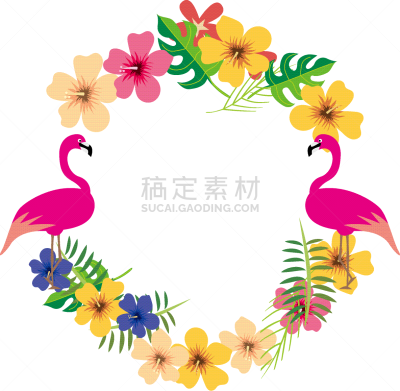 绘画插图,图像,南,非都市风光,饮料,热,太平洋岛屿,新婚夫妇,巨嘴鵎鵼,首里城