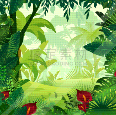 热带雨林,草坪,背景,野生动物,植物群,草,自然美,植物,夏天,户外