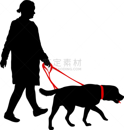 狗,女人,白色背景,纯种犬,梗犬,动物,斯班尼犬,剪影,坐,训练