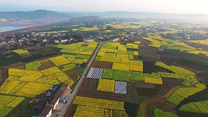 四川中国农村油菜田和村庄景观鸟瞰， 