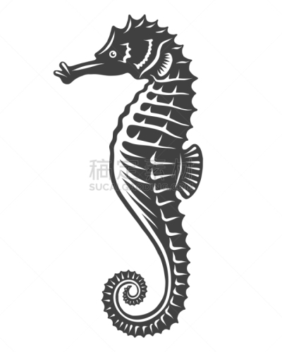 海马,单色调,白色,鸡尾酒,自然,动物园,摆拍,野生动物,图像,海洋