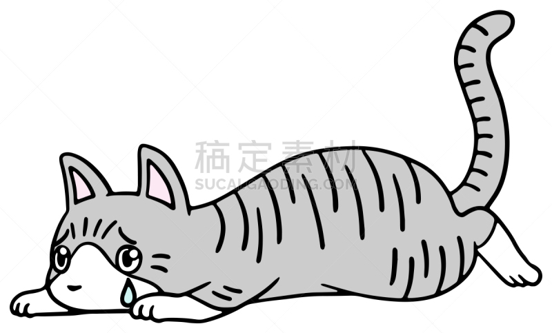 矢量,绘画插图,猫,惊骇,恐怖,简单,动物,宠物商店