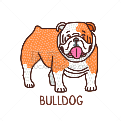 狗,斗牛犬,可爱的,宠物,纯种犬,图像,公牛,英格兰,哺乳纲,家畜