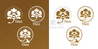 泰国,艺术,图表设计师,亚洲,商务,菜单,概念,华贵,食品,设计