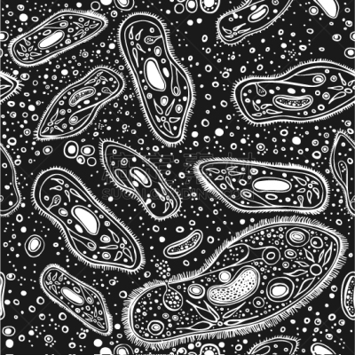 式样,动物手,创造力,生物学,微生物学,健康保健,显微镜,纺织品,绘制