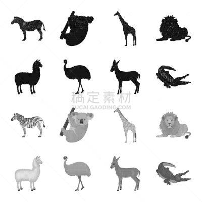 动物,美洲驼羊,羚羊,鸸鹋,鸵鸟,幼小动物,黑色,自然,图像,收集