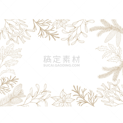 贺卡,常绿树,植物群,请柬,背景分离,榭寄生,边框,复古风格,枝繁叶茂,云杉
