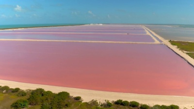 空中 墨西哥拉斯科罗拉达斯华丽的泻湖和粉红色的Salterns