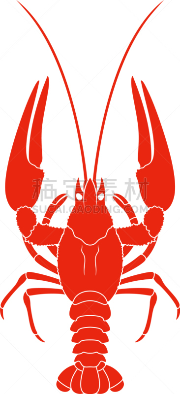 小龙虾,分离着色,红色,肉,海洋生命,海产,食品,图像,海洋,动物