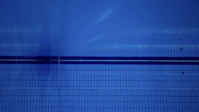 跳水高手跳入水中
