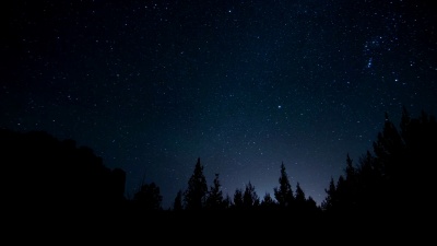 夜空延时摄影与树木剪影