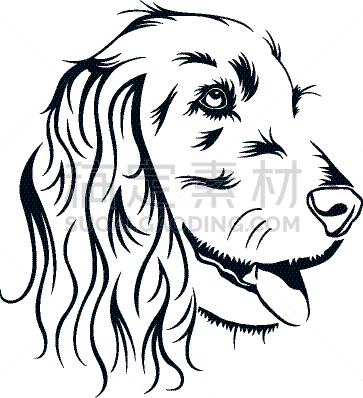 图像,矢量,肖像,狗,斯班尼犬,田地,可卡犬,工作