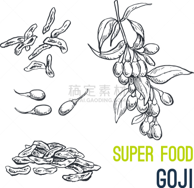 食品,草图,动物手,有机食品,自然,素食,蔬菜,精神振作,绘制,收集