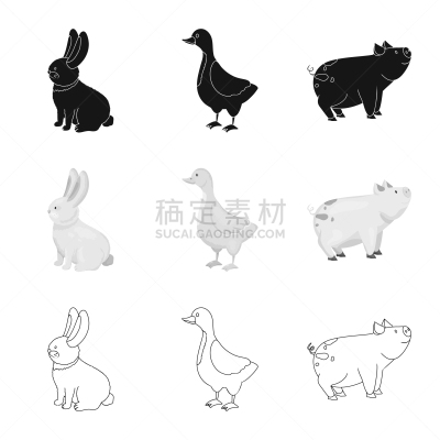 厨房,符号,可爱的,农业,食品,加拿大,猪,设计,布置